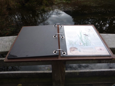Informational picture book at wetland overlook – pictures and information about animals that live in wetlands